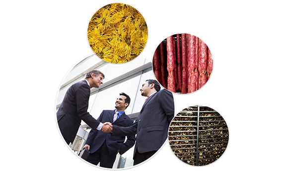 生產(chǎn)規(guī)模大